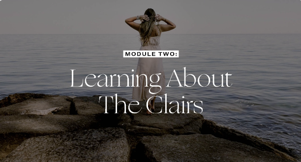 Module 02: Discovering How YOU read energy